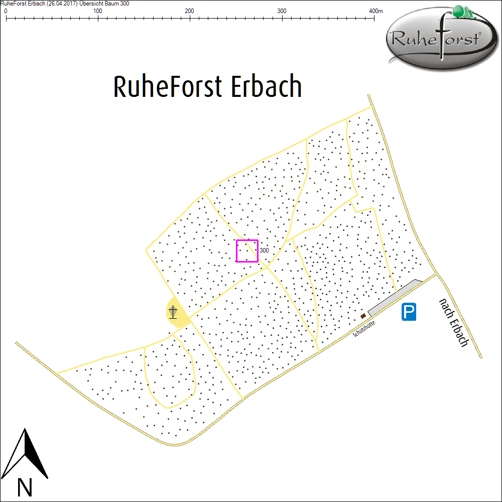 &Uuml;bersichtskarte zu Baum 300