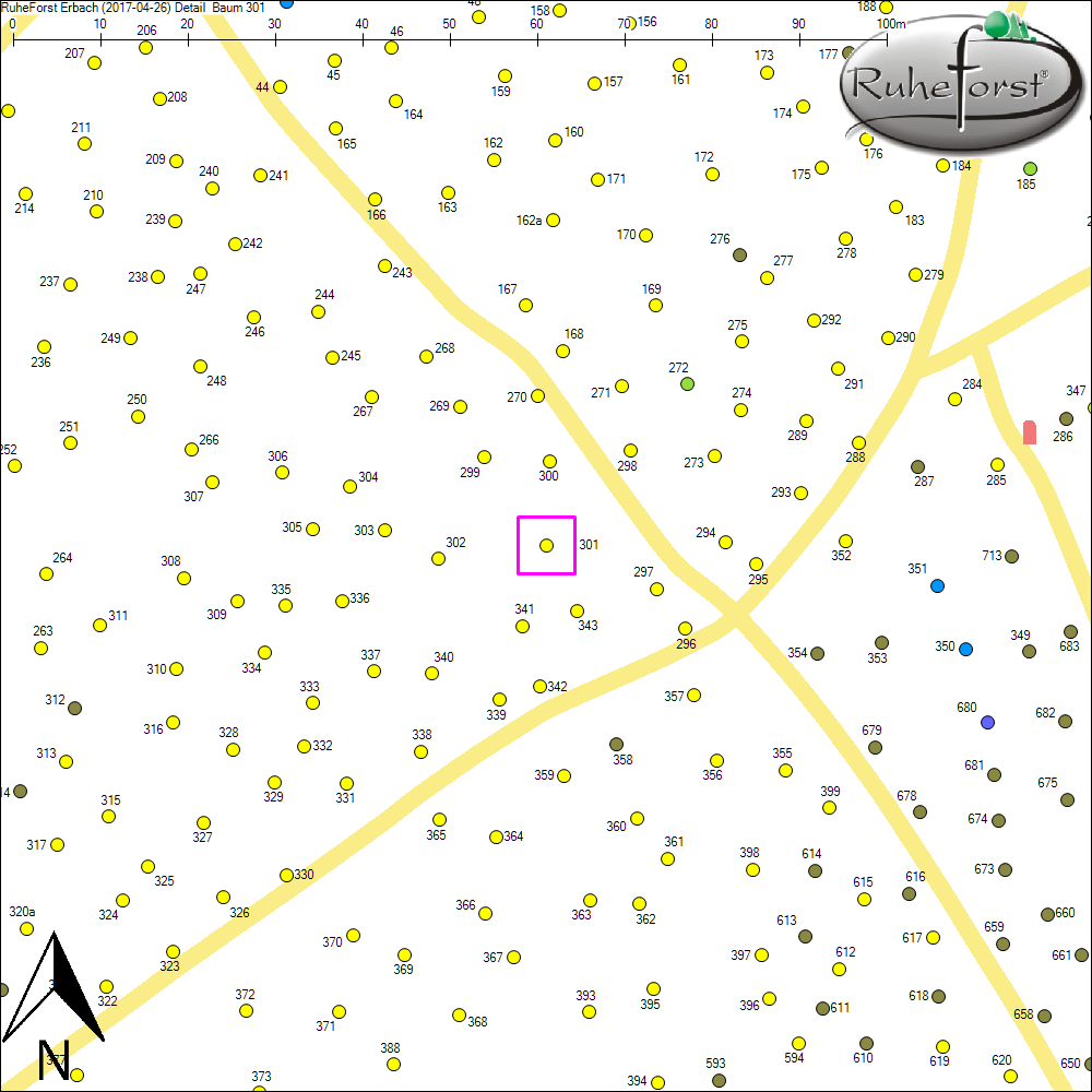 Detailkarte zu Baum 301