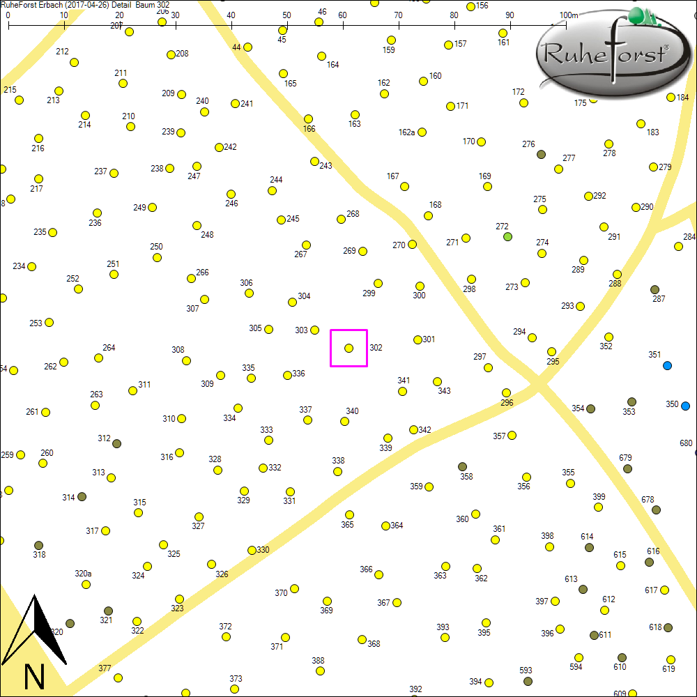 Detailkarte zu Baum 302