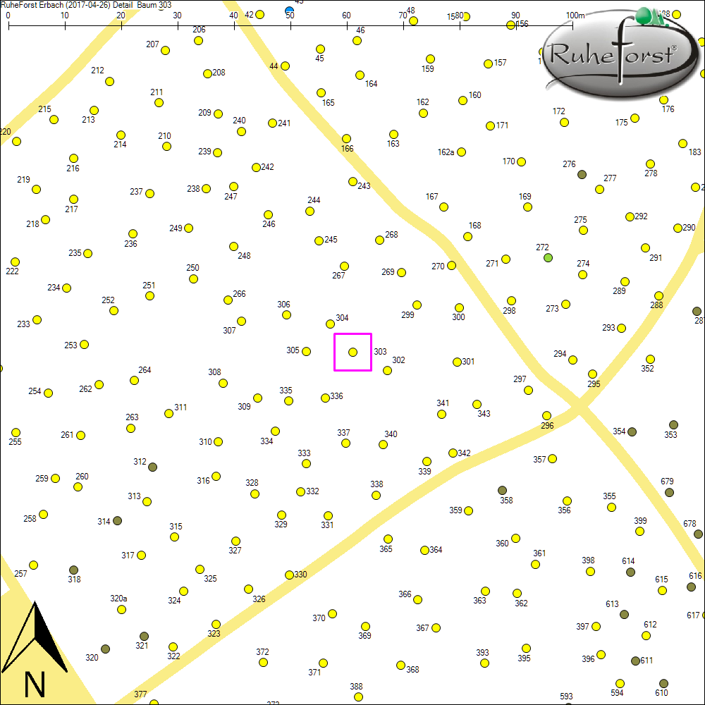 Detailkarte zu Baum 303