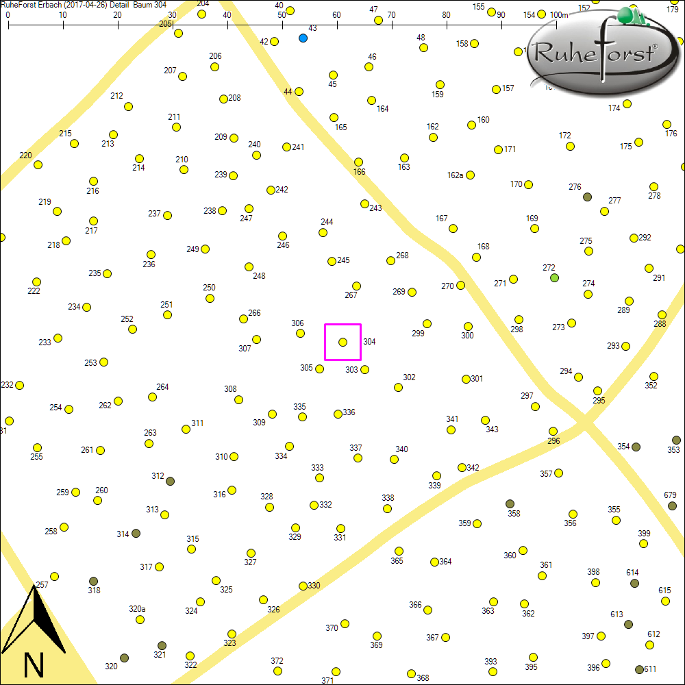 Detailkarte zu Baum 304