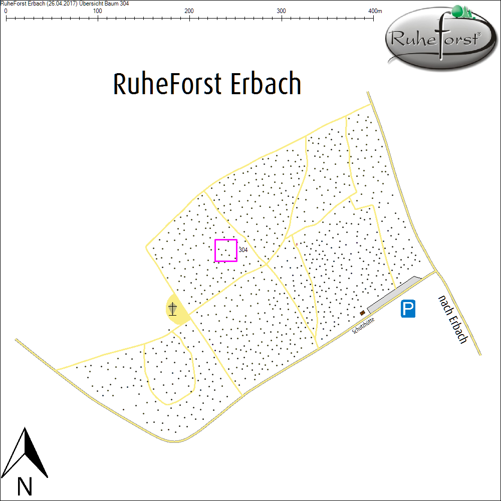 &Uuml;bersichtskarte zu Baum 304