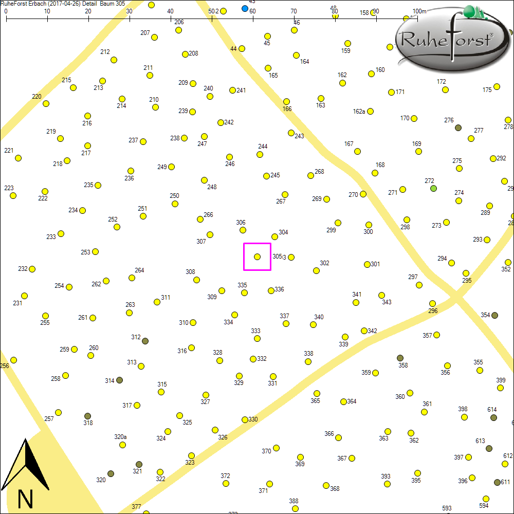 Detailkarte zu Baum 305