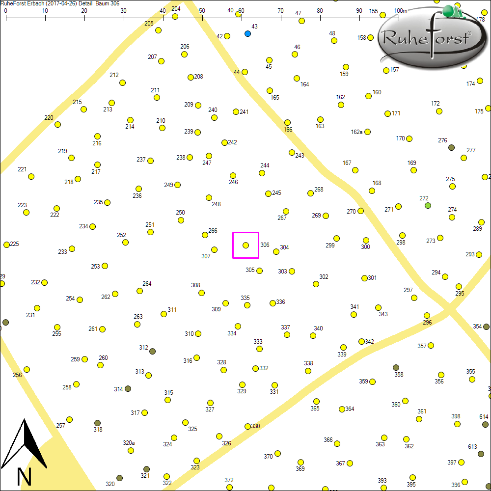 Detailkarte zu Baum 306