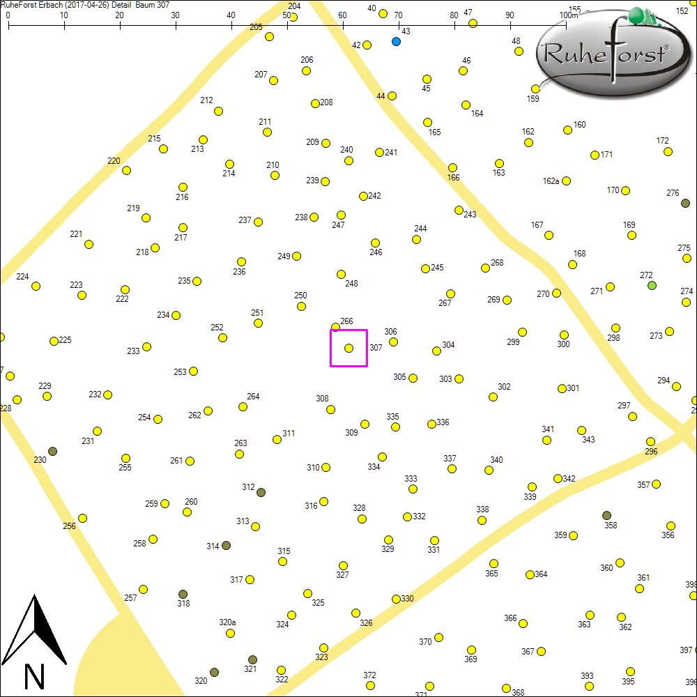 Detailkarte zu Baum 307