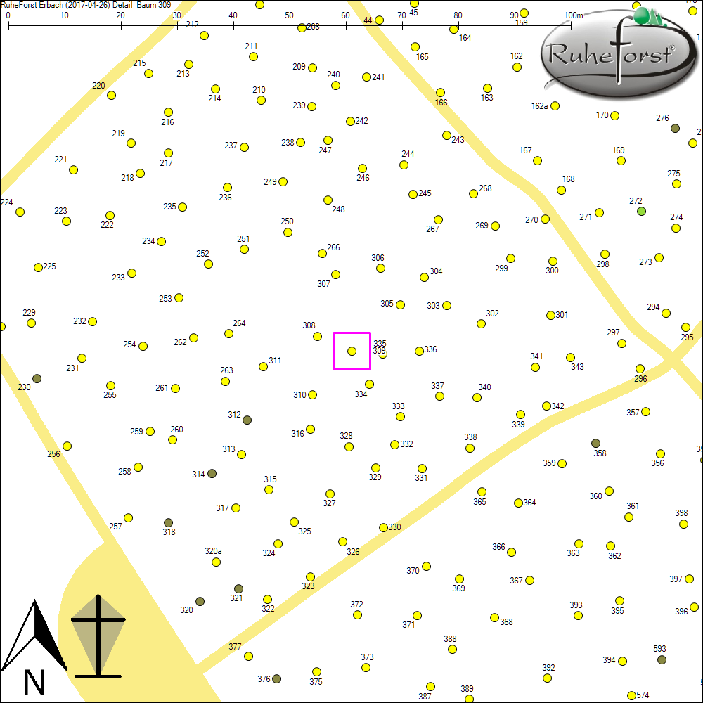 Detailkarte zu Baum 309