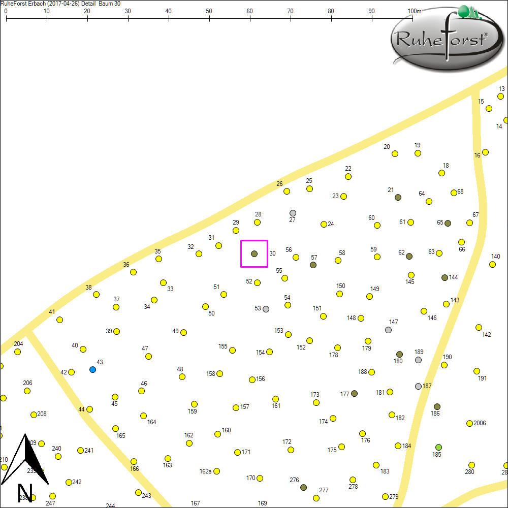 Detailkarte zu Baum 30