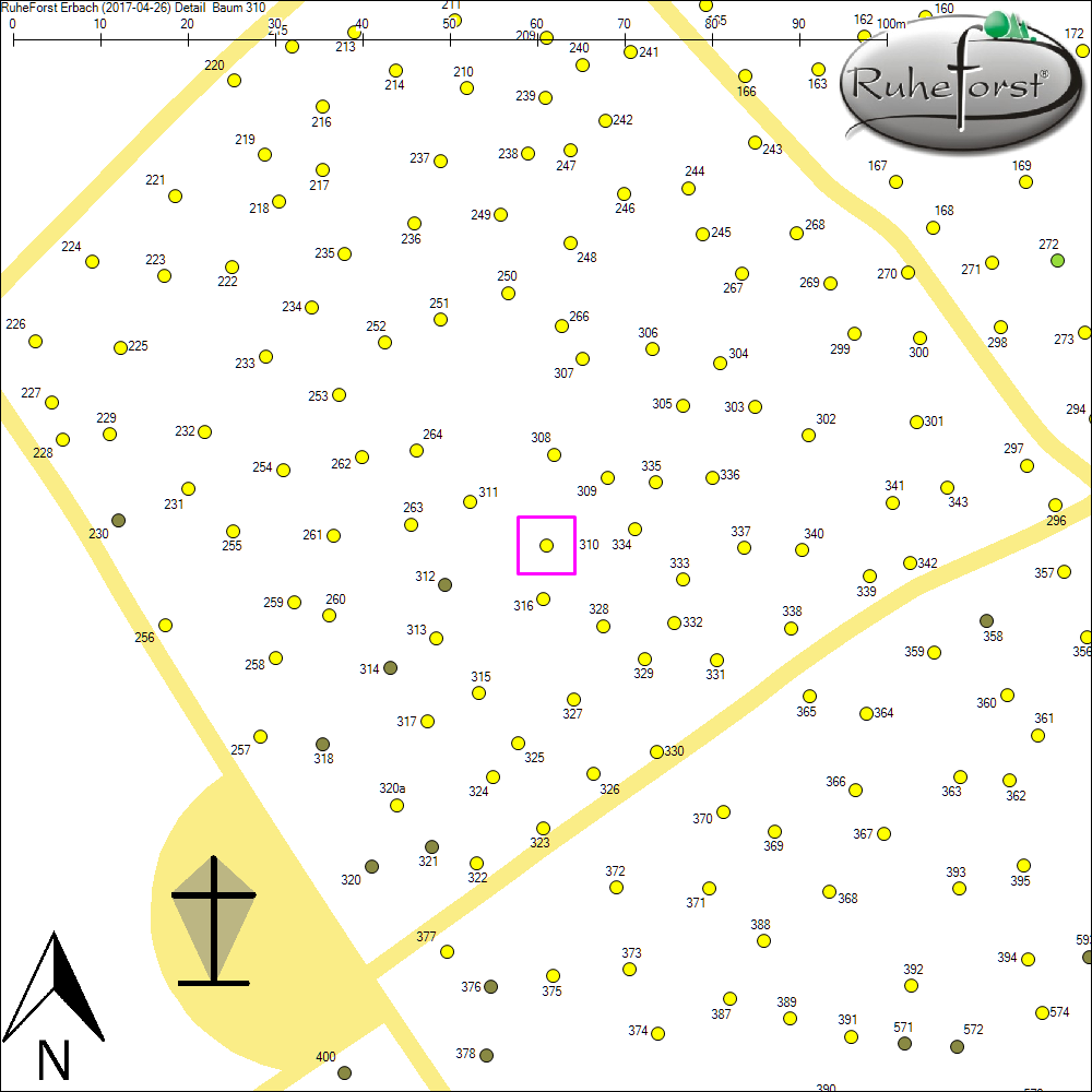 Detailkarte zu Baum 310
