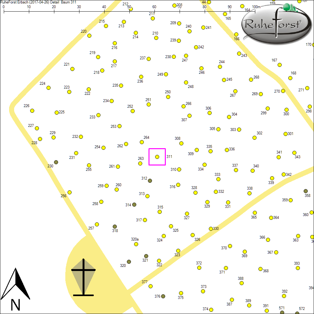 Detailkarte zu Baum 311