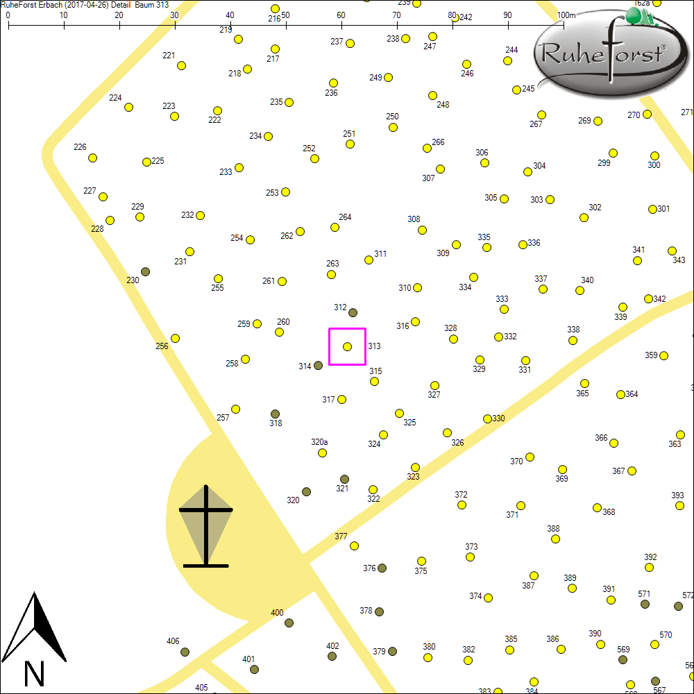 Detailkarte zu Baum 313
