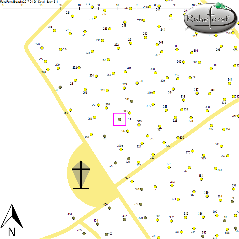 Detailkarte zu Baum 314