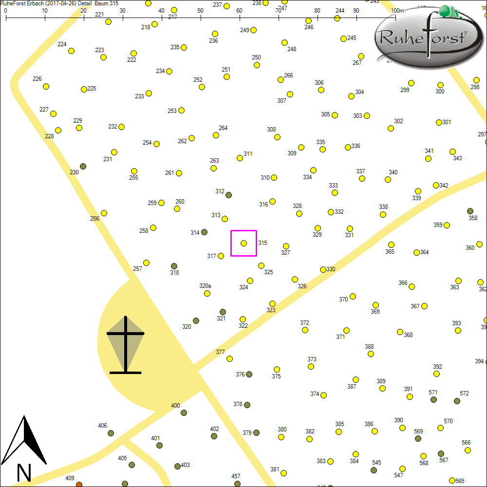 Detailkarte zu Baum 315