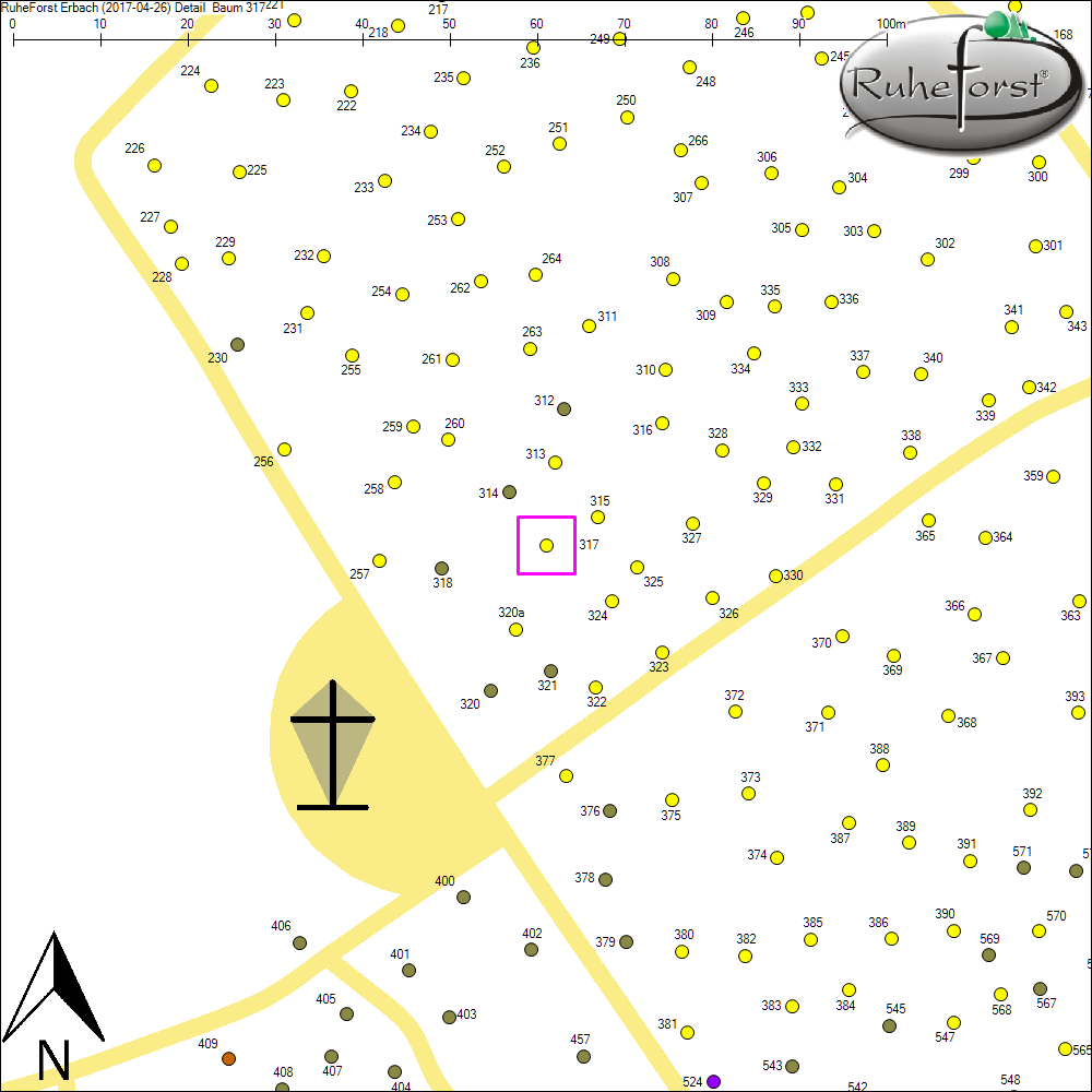 Detailkarte zu Baum 317