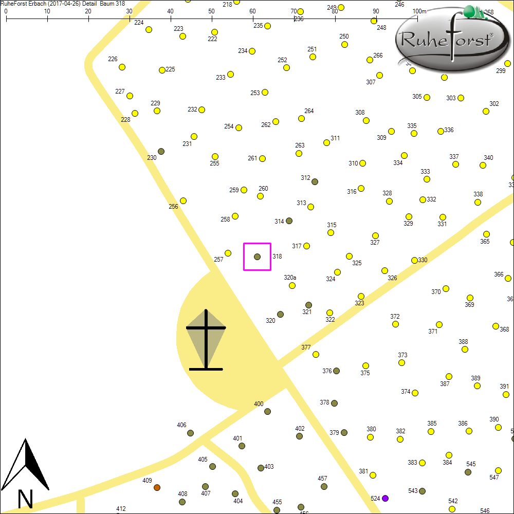 Detailkarte zu Baum 318