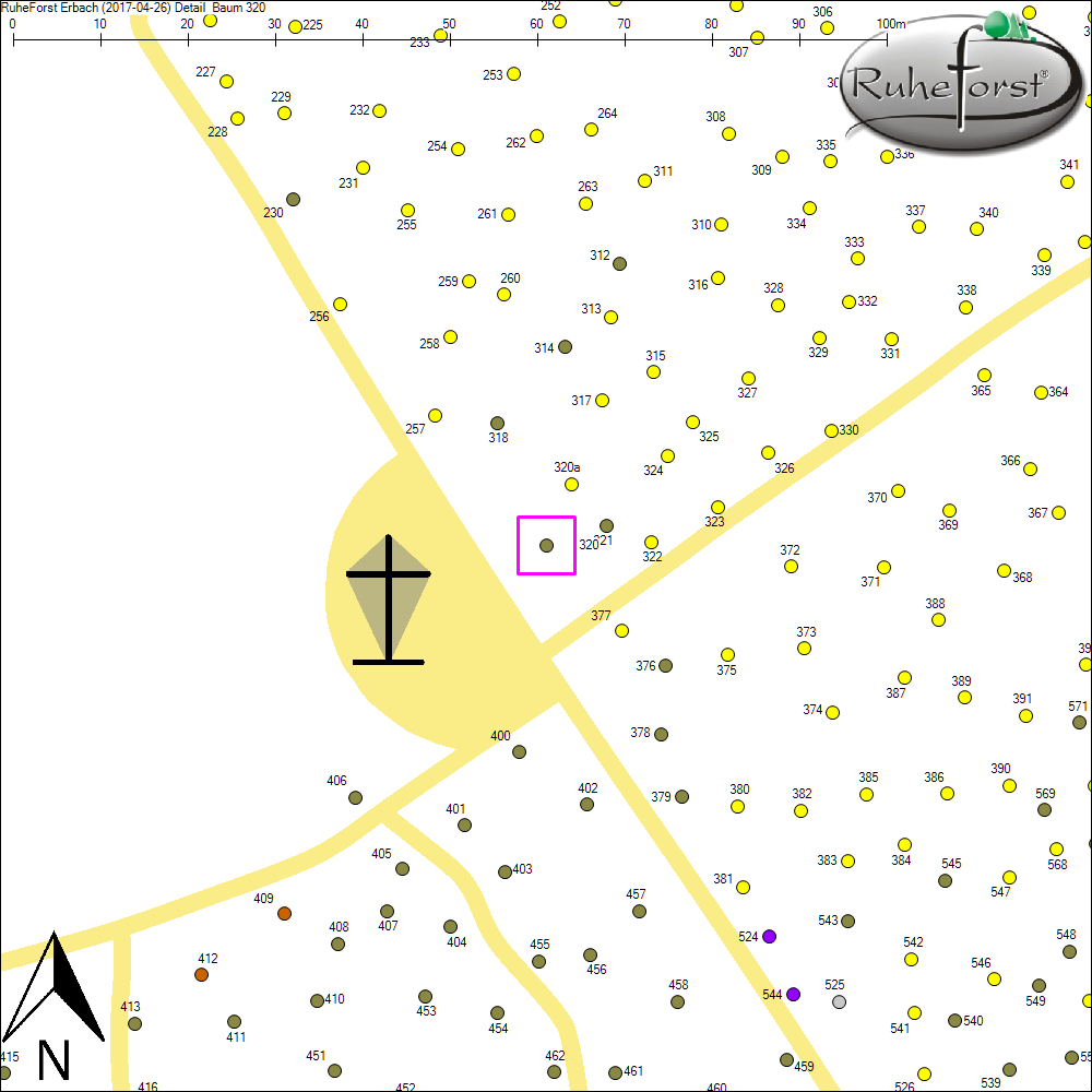 Detailkarte zu Baum 320