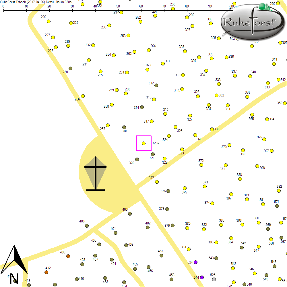 Detailkarte zu Baum 320a