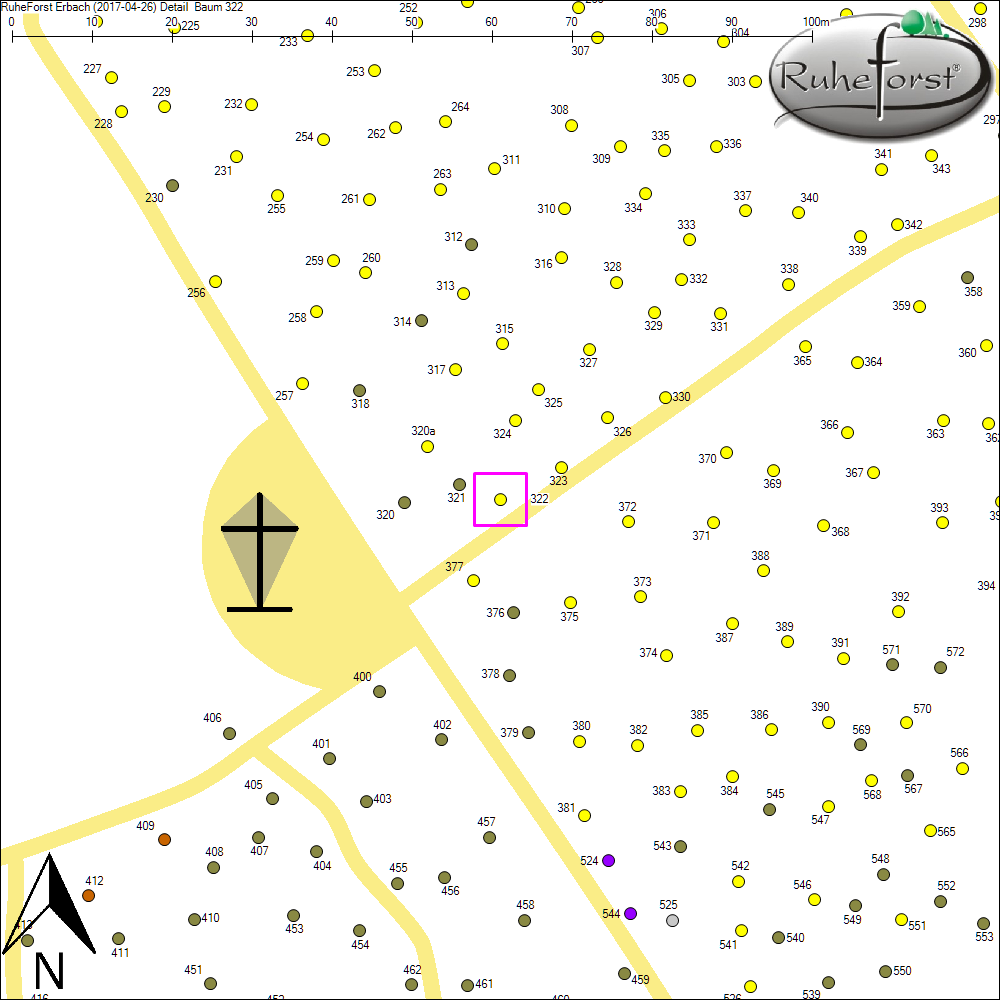 Detailkarte zu Baum 322