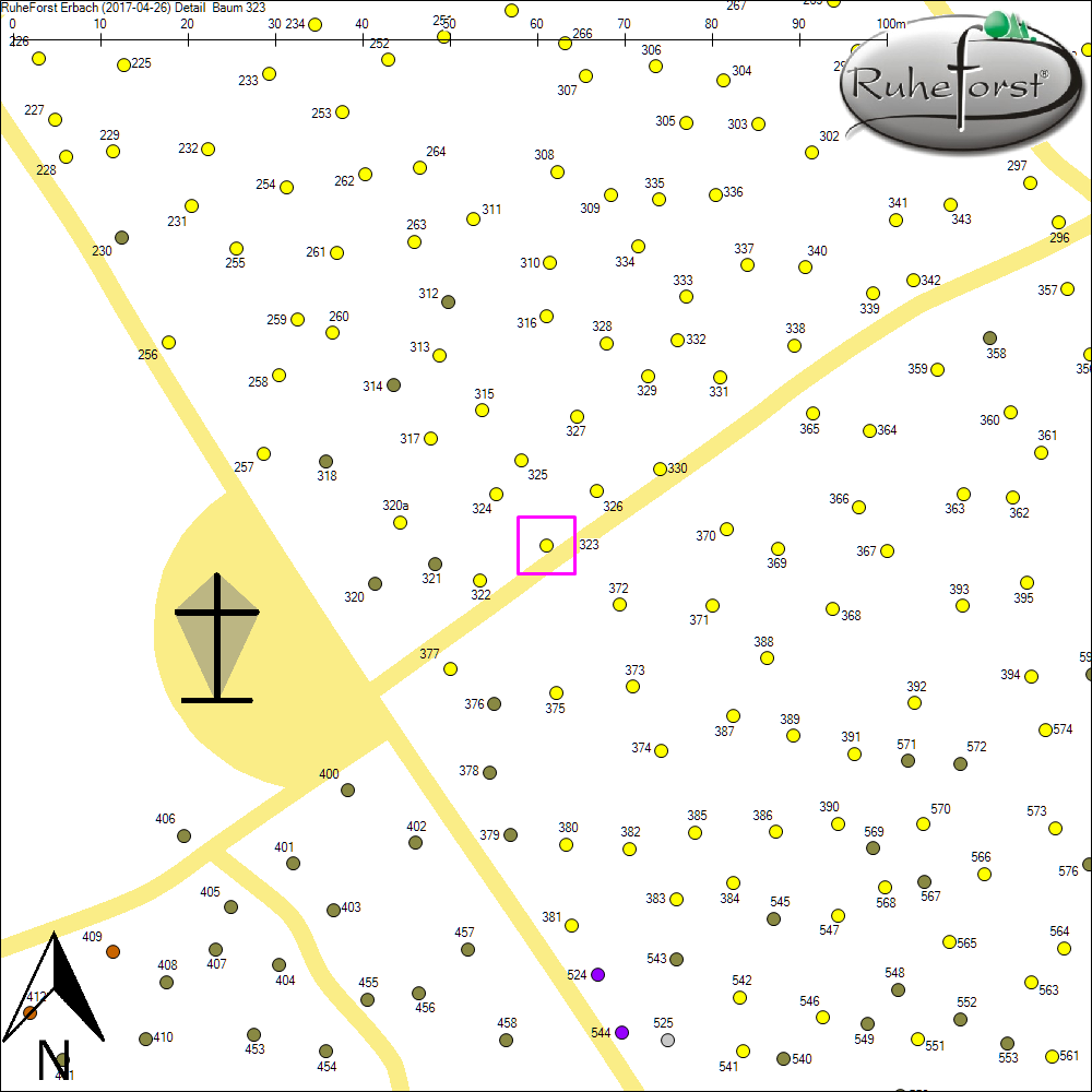 Detailkarte zu Baum 323