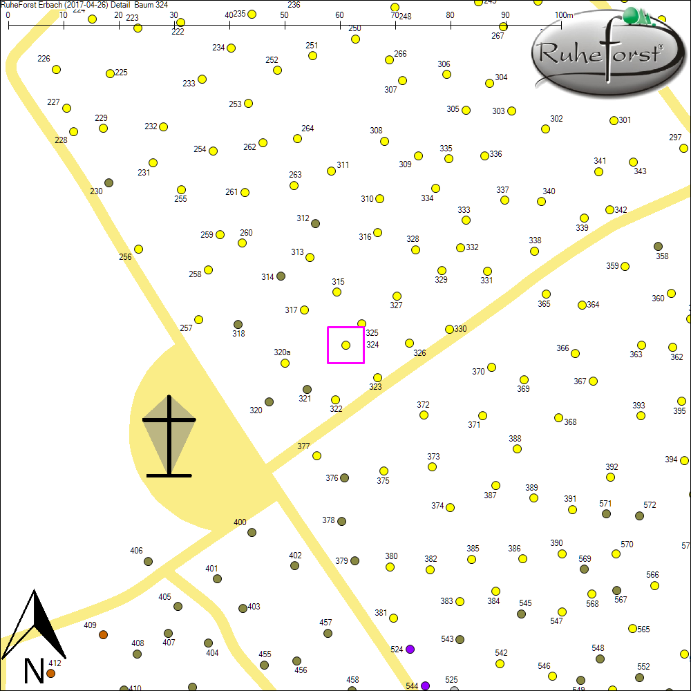 Detailkarte zu Baum 324