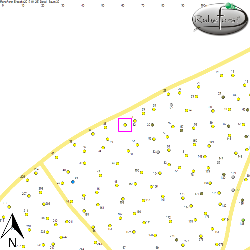 Detailkarte zu Baum 32
