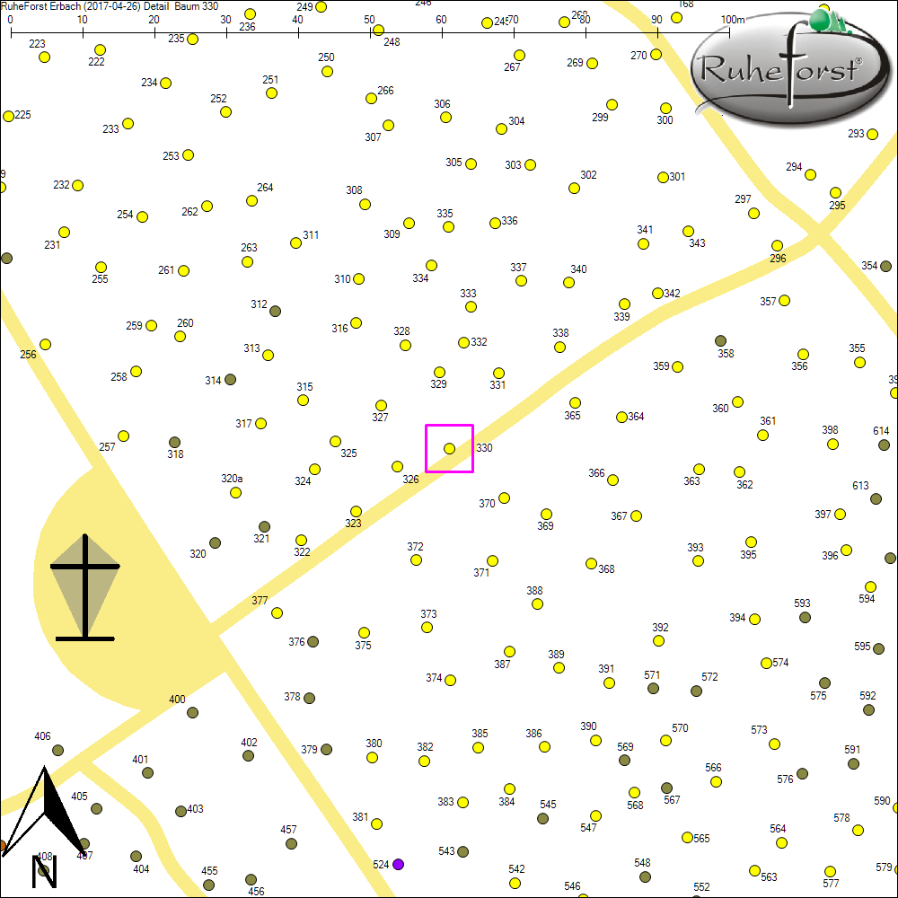 Detailkarte zu Baum 330