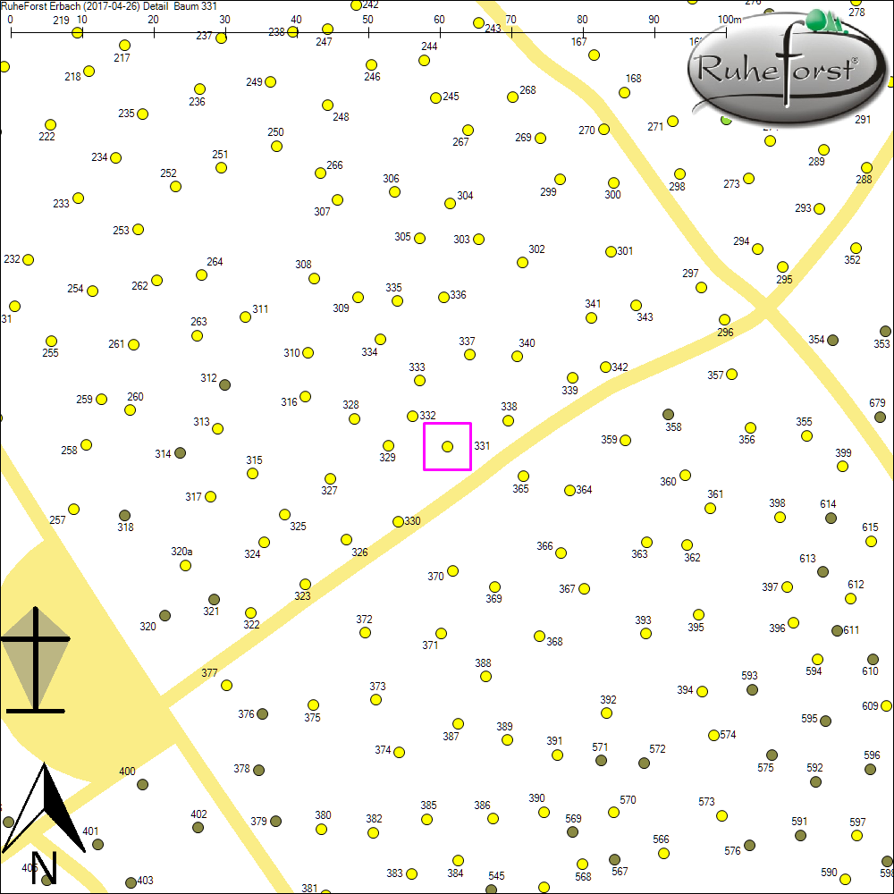 Detailkarte zu Baum 331