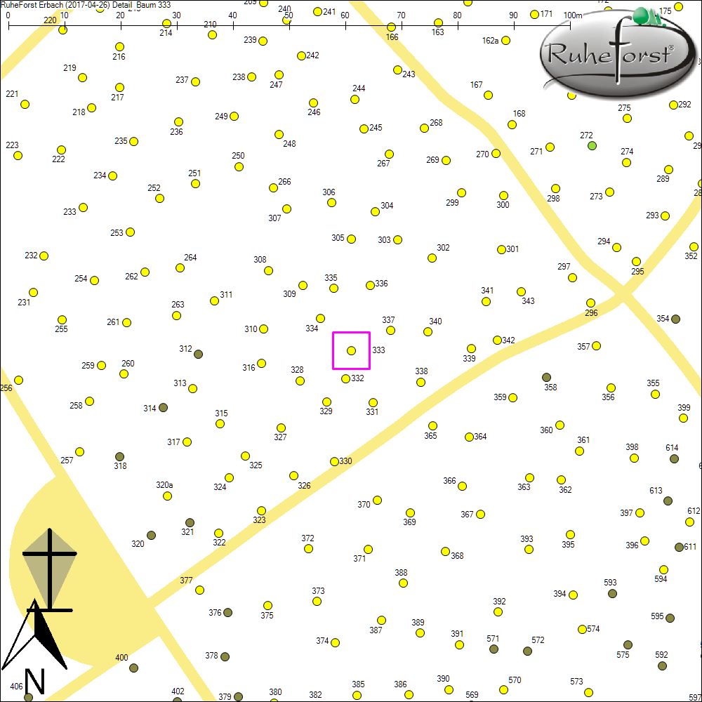 Detailkarte zu Baum 333