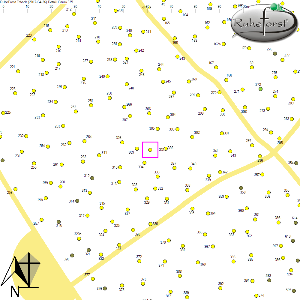 Detailkarte zu Baum 335