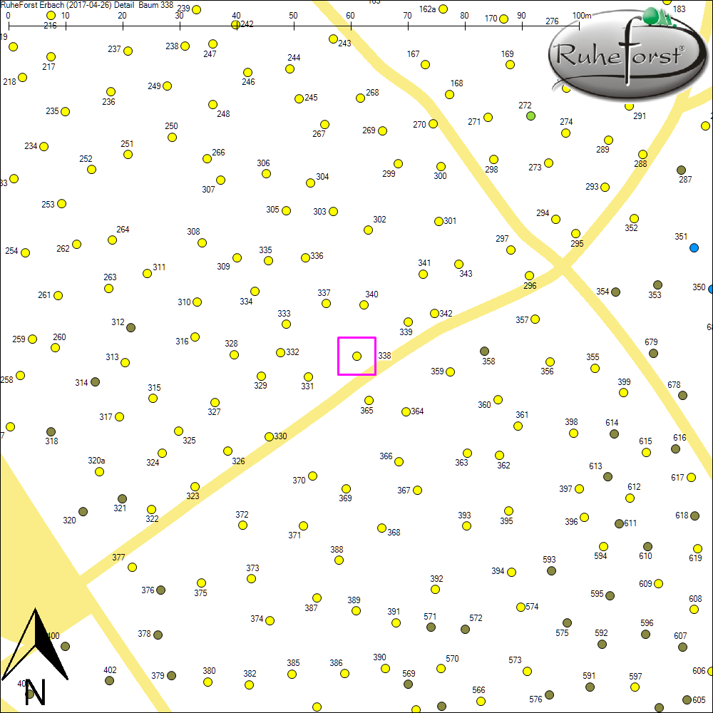 Detailkarte zu Baum 338