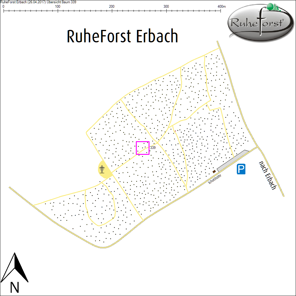 &Uuml;bersichtskarte zu Baum 339