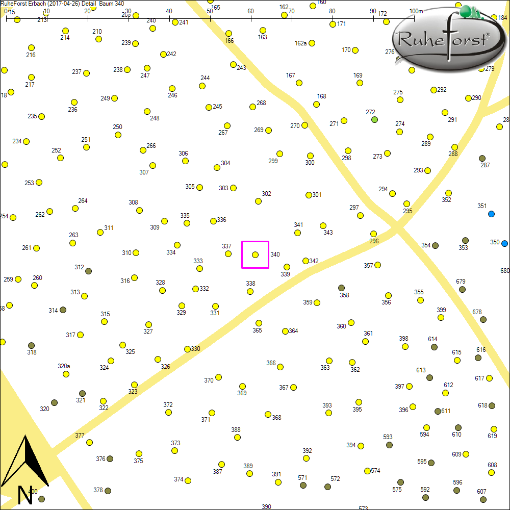 Detailkarte zu Baum 340