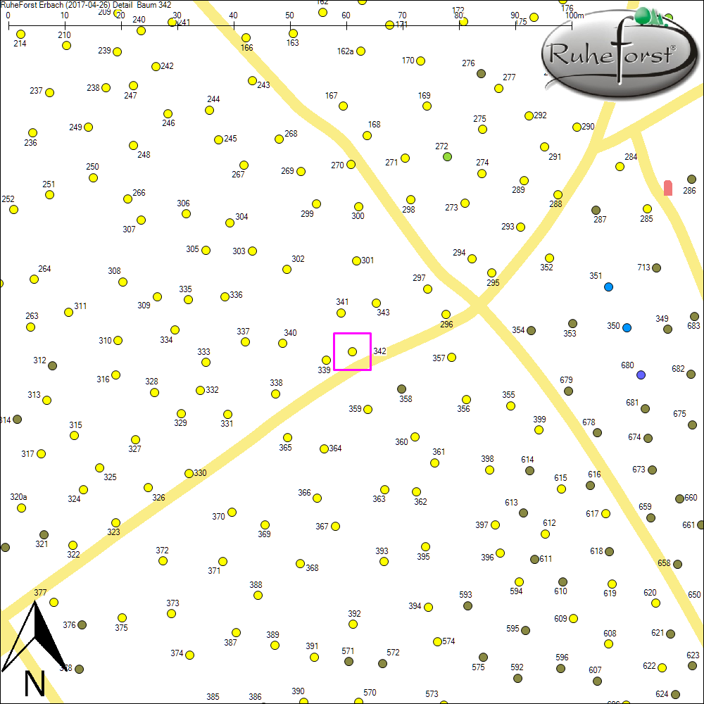 Detailkarte zu Baum 342