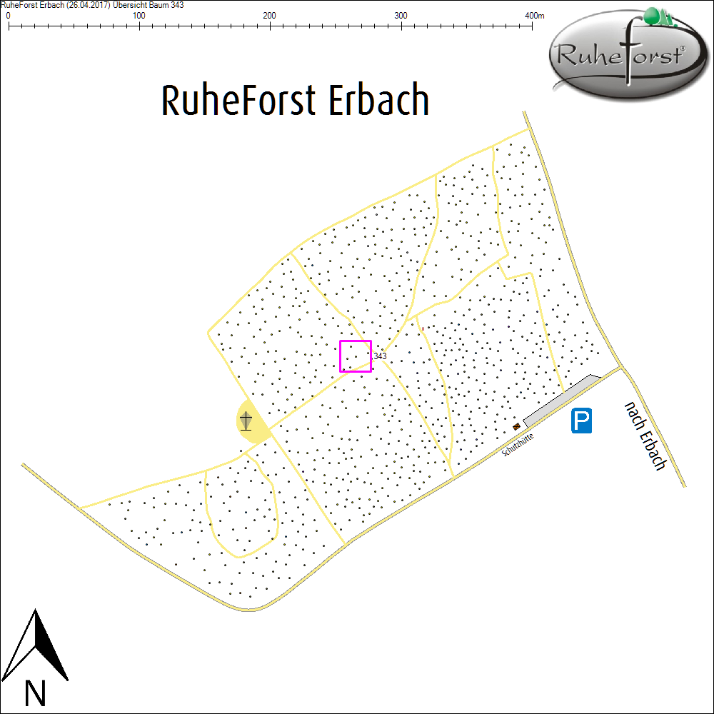&Uuml;bersichtskarte zu Baum 343