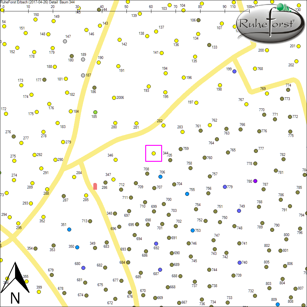 Detailkarte zu Baum 344