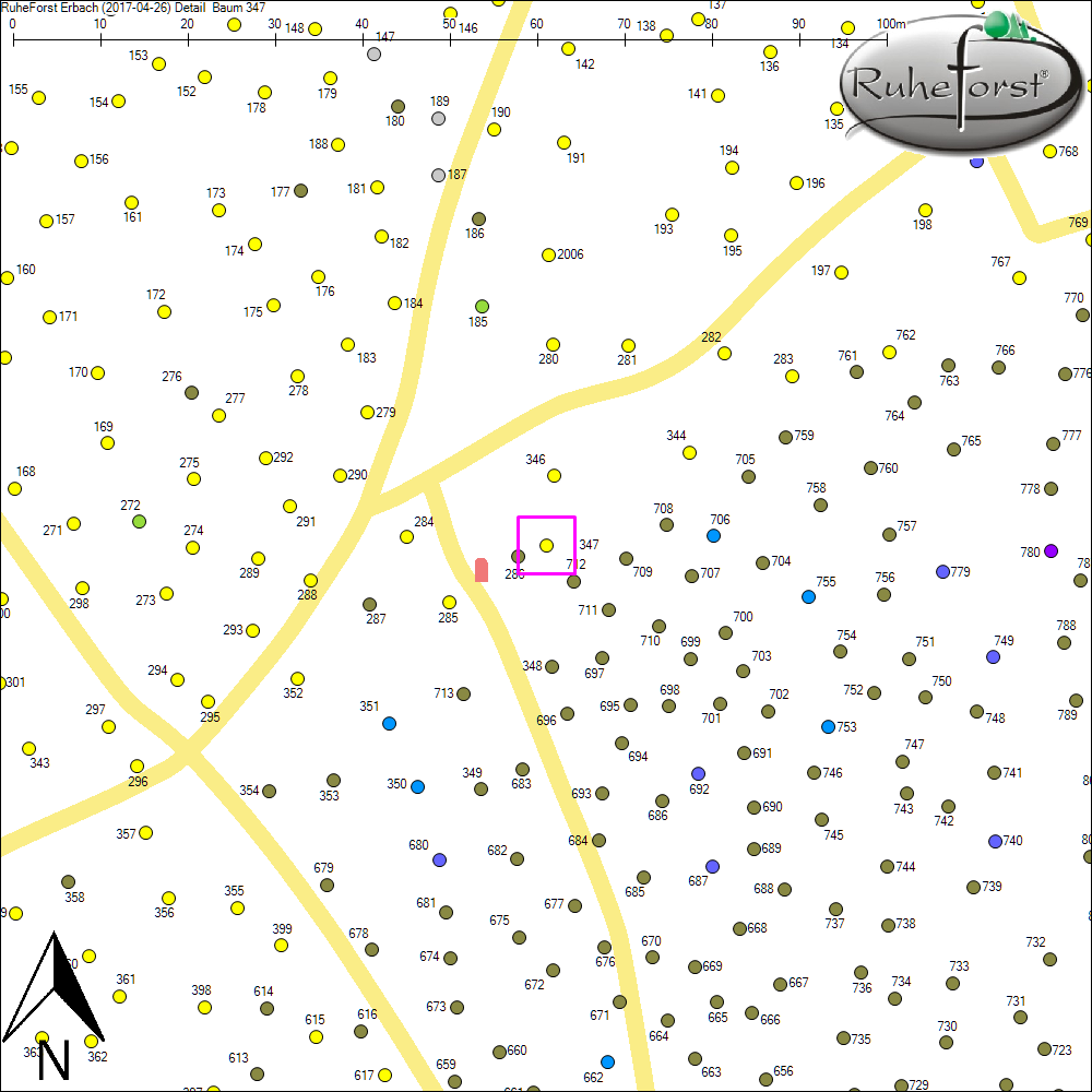 Detailkarte zu Baum 347