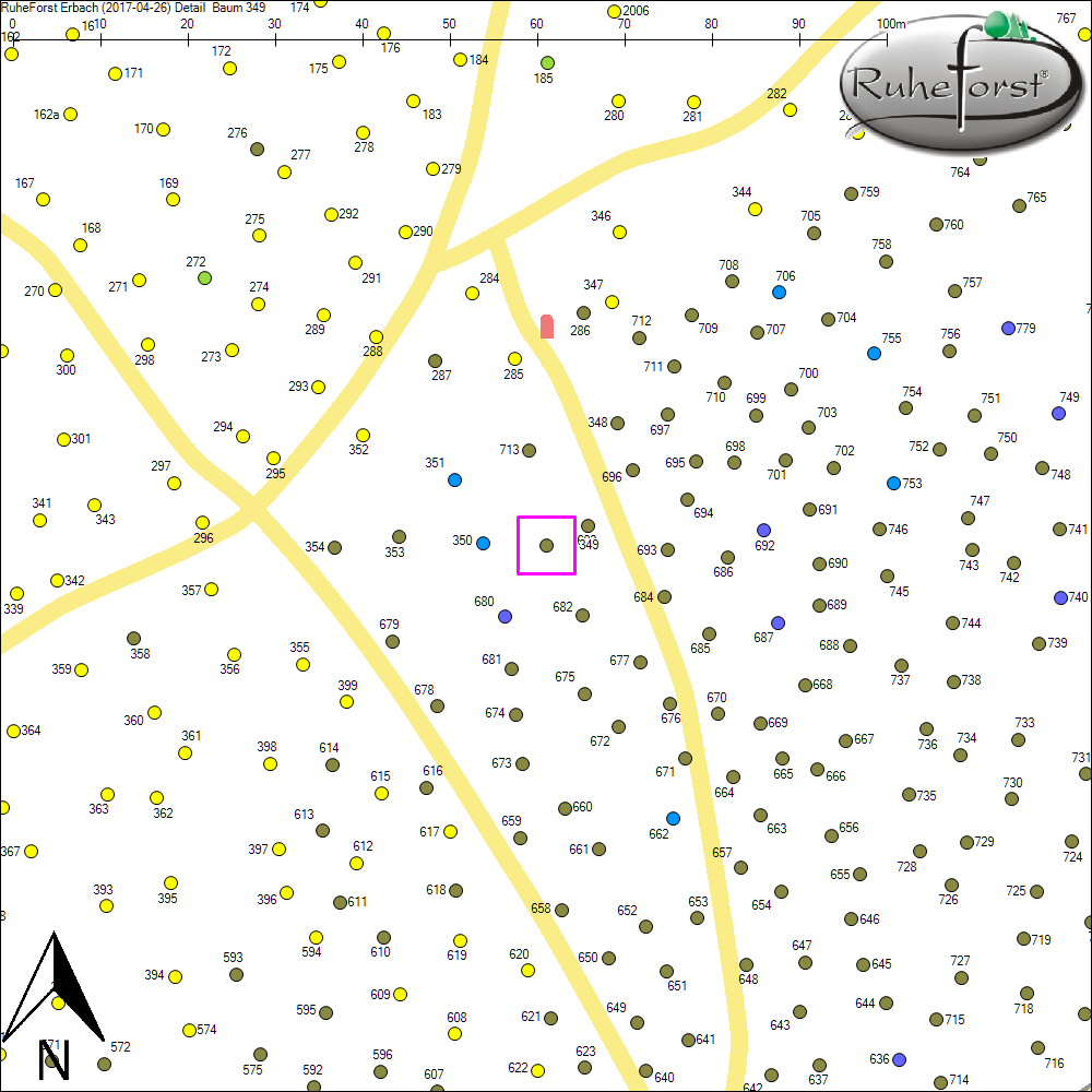 Detailkarte zu Baum 349