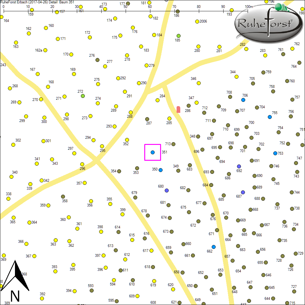 Detailkarte zu Baum 351