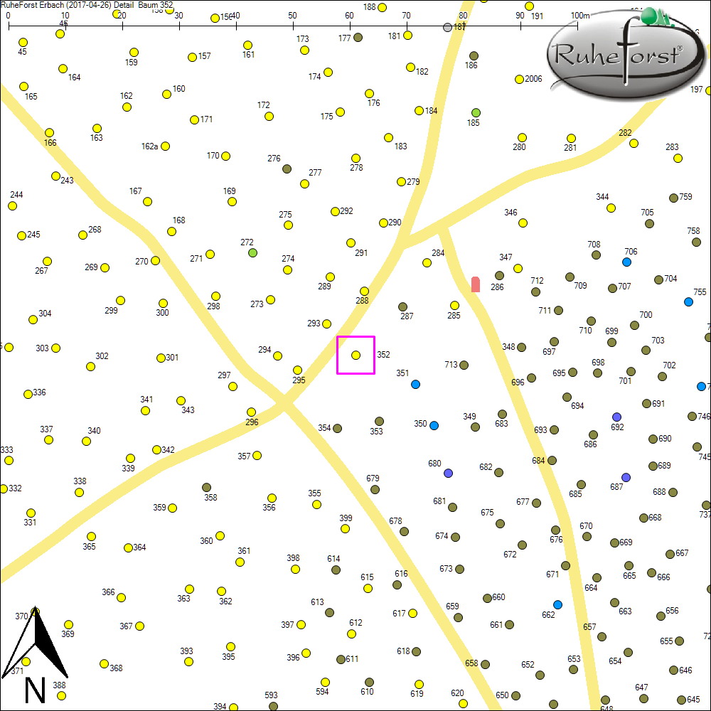 Detailkarte zu Baum 352