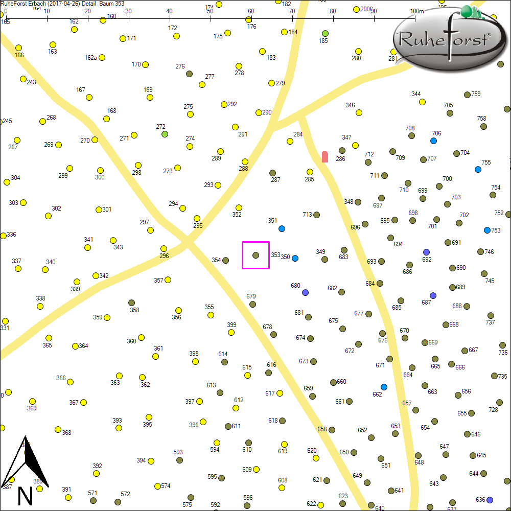 Detailkarte zu Baum 353