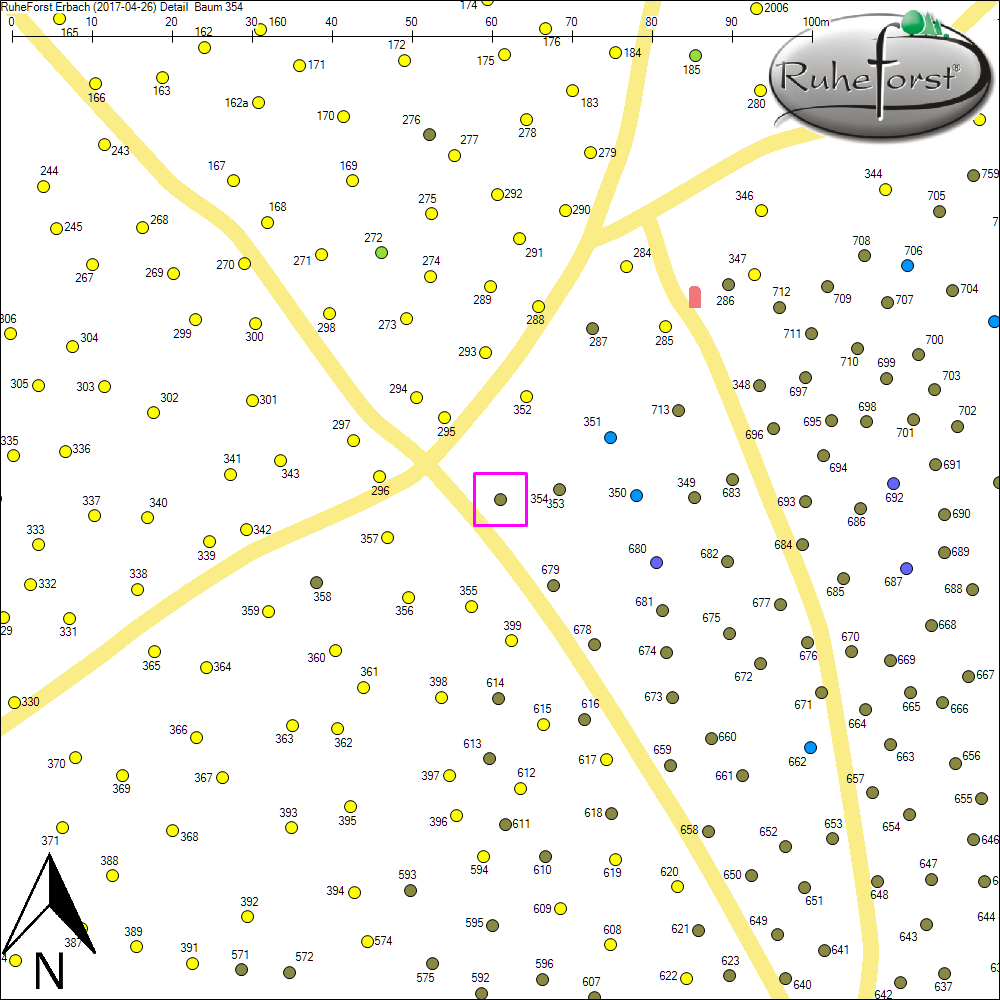 Detailkarte zu Baum 354