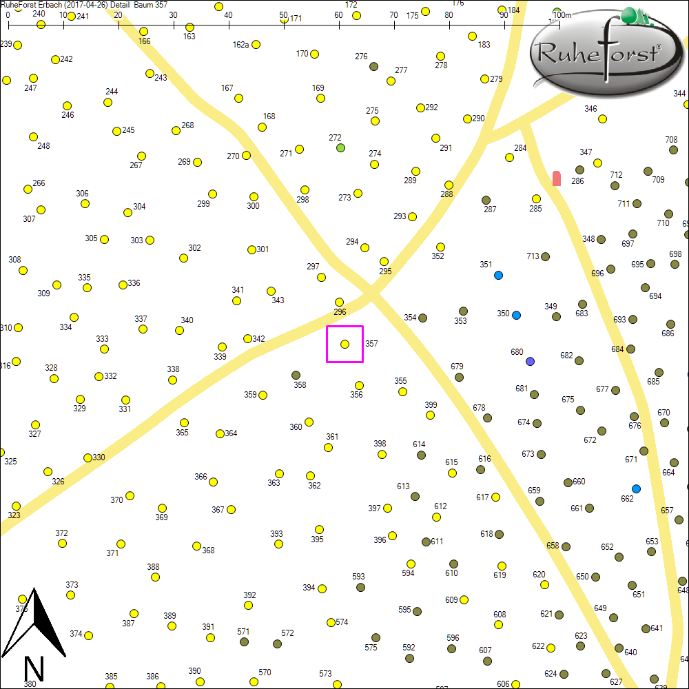 Detailkarte zu Baum 357