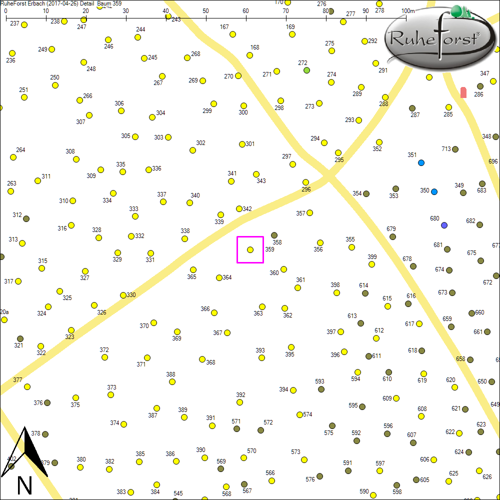 Detailkarte zu Baum 359