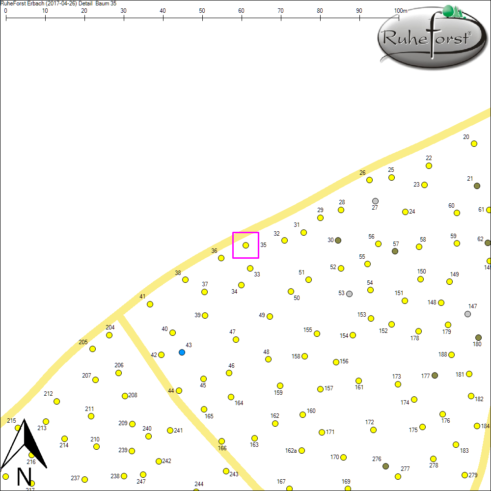 Detailkarte zu Baum 35