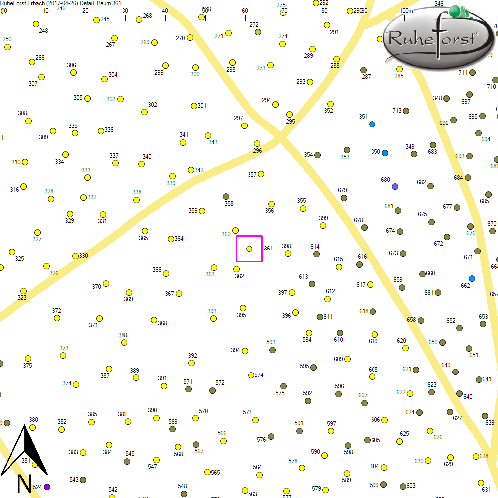 Detailkarte zu Baum 361