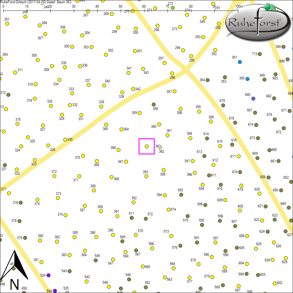 Detailkarte zu Baum 363