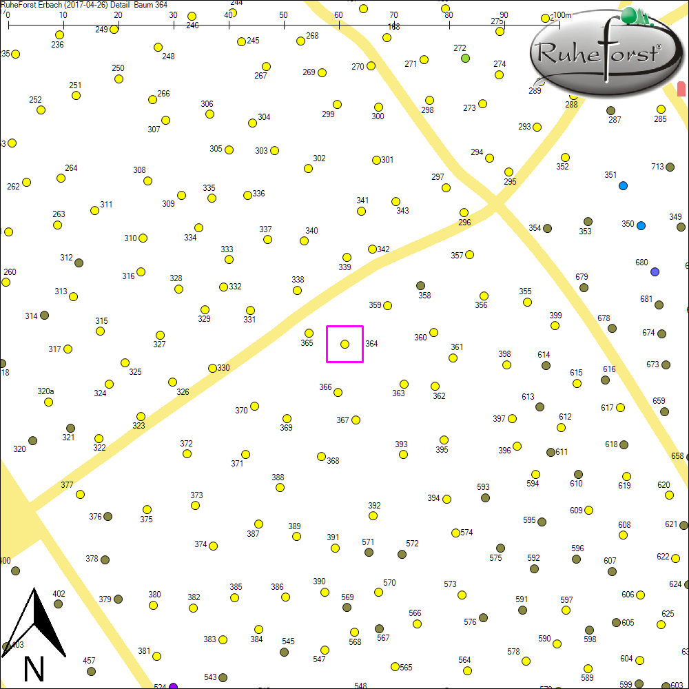 Detailkarte zu Baum 364