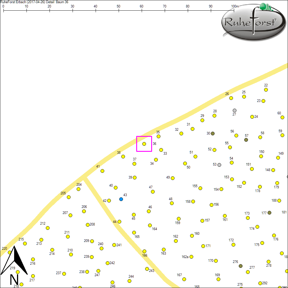 Detailkarte zu Baum 36