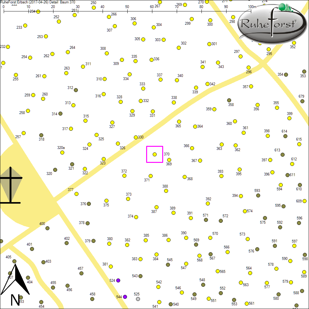 Detailkarte zu Baum 370