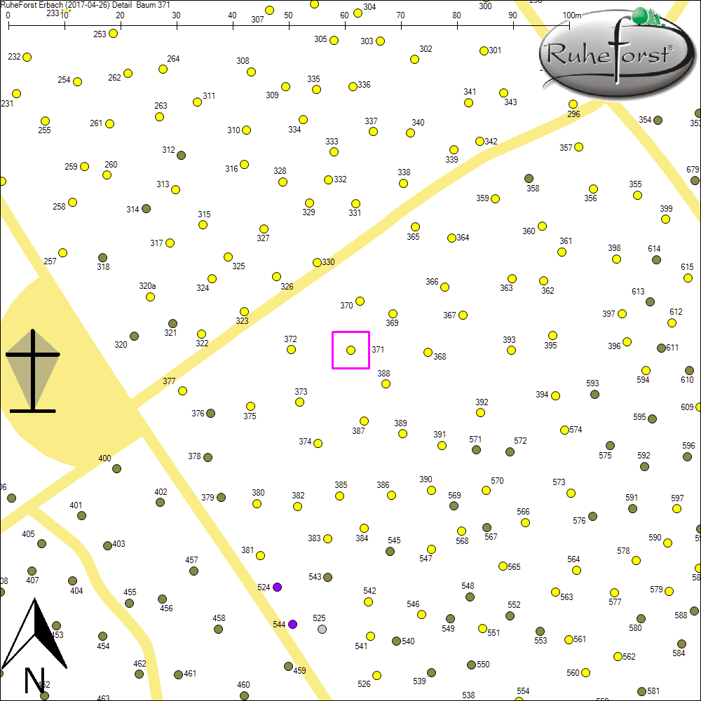 Detailkarte zu Baum 371