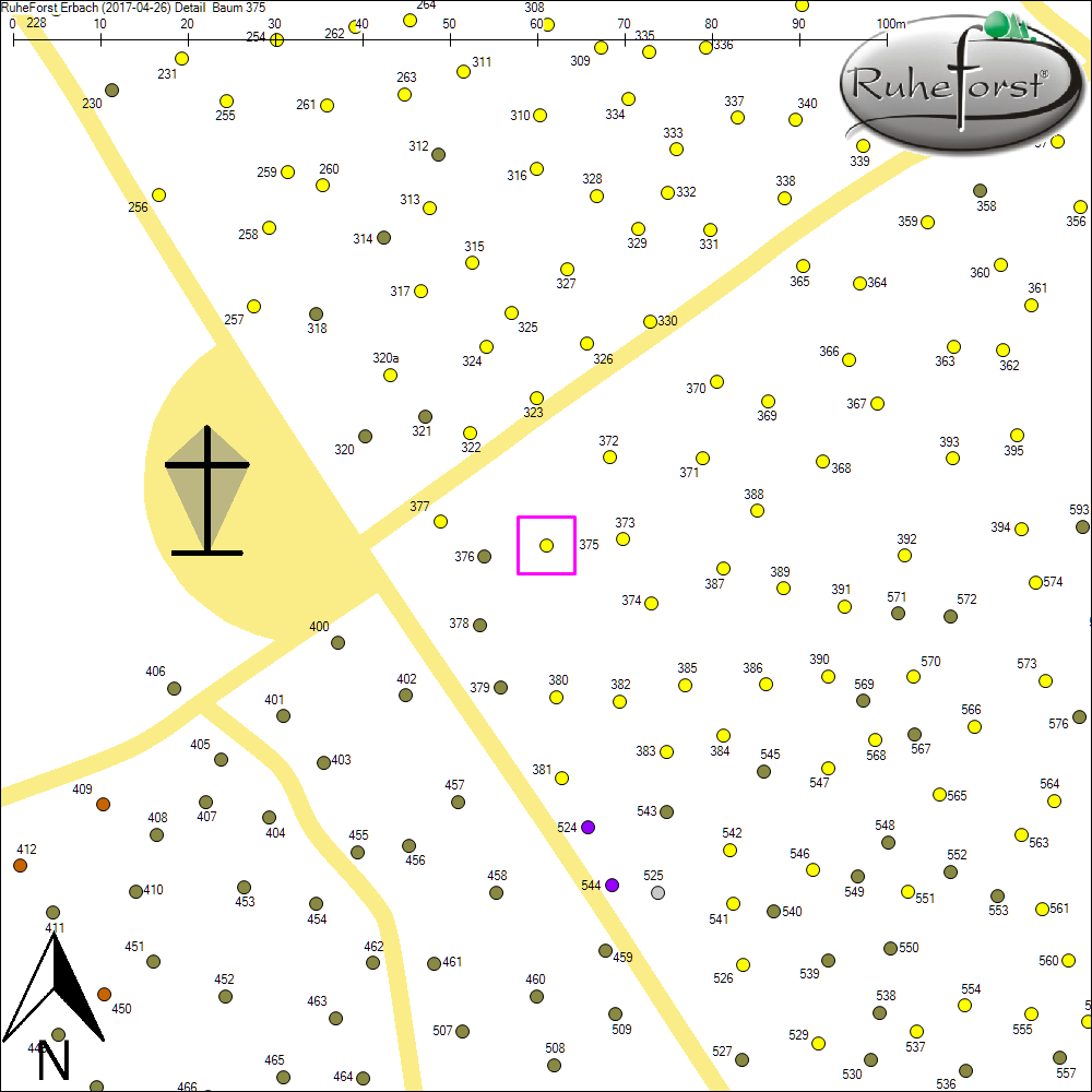 Detailkarte zu Baum 375